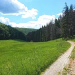 A Bükki Nemzeti Park