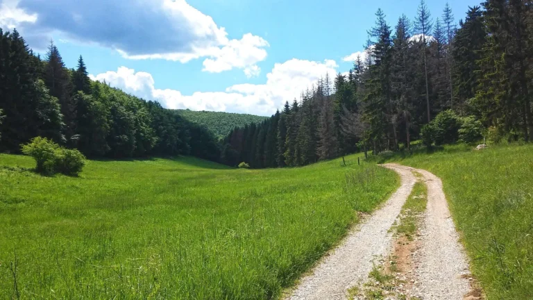A Bükki Nemzeti Park