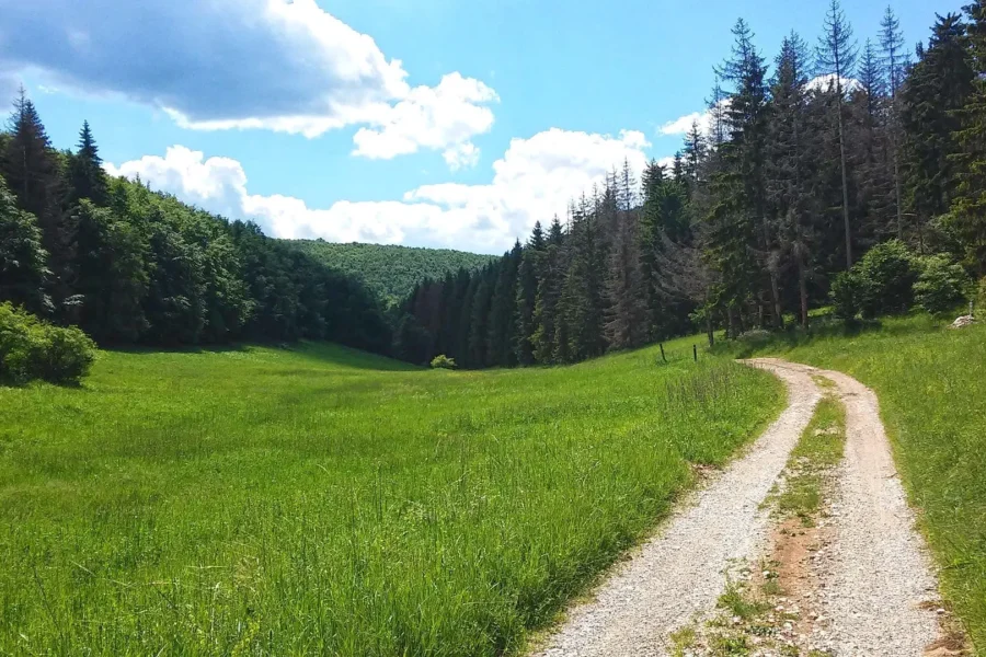 A Bükki Nemzeti Park