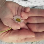 A jól fizető láthatatlan munka