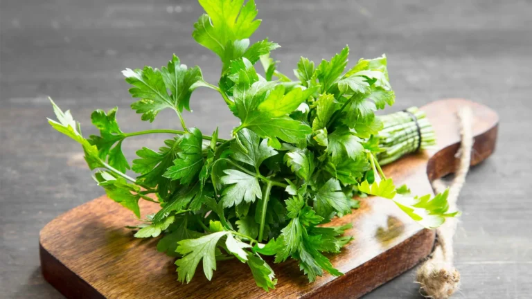 A petrezselyem