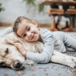 Hű társad: a kutya