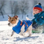 Készítsd fel a télre a kutyusodat