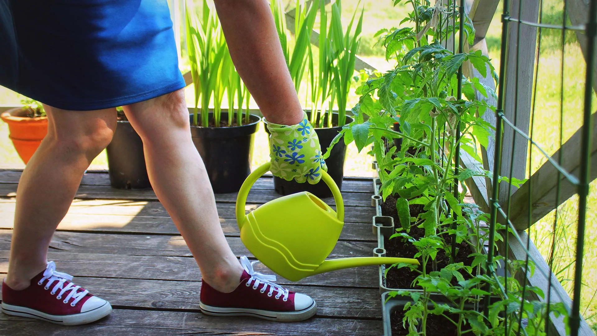 Kis kert, nagy kert. Ízléses megoldások a házon kívül