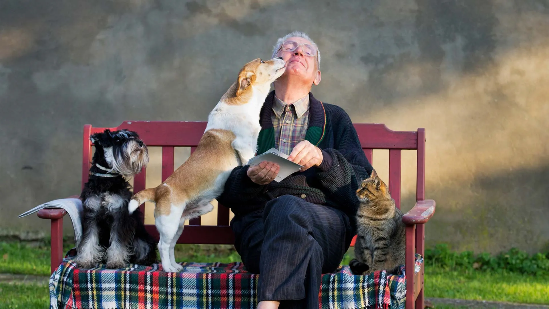 Öreg eb, nem vén eb