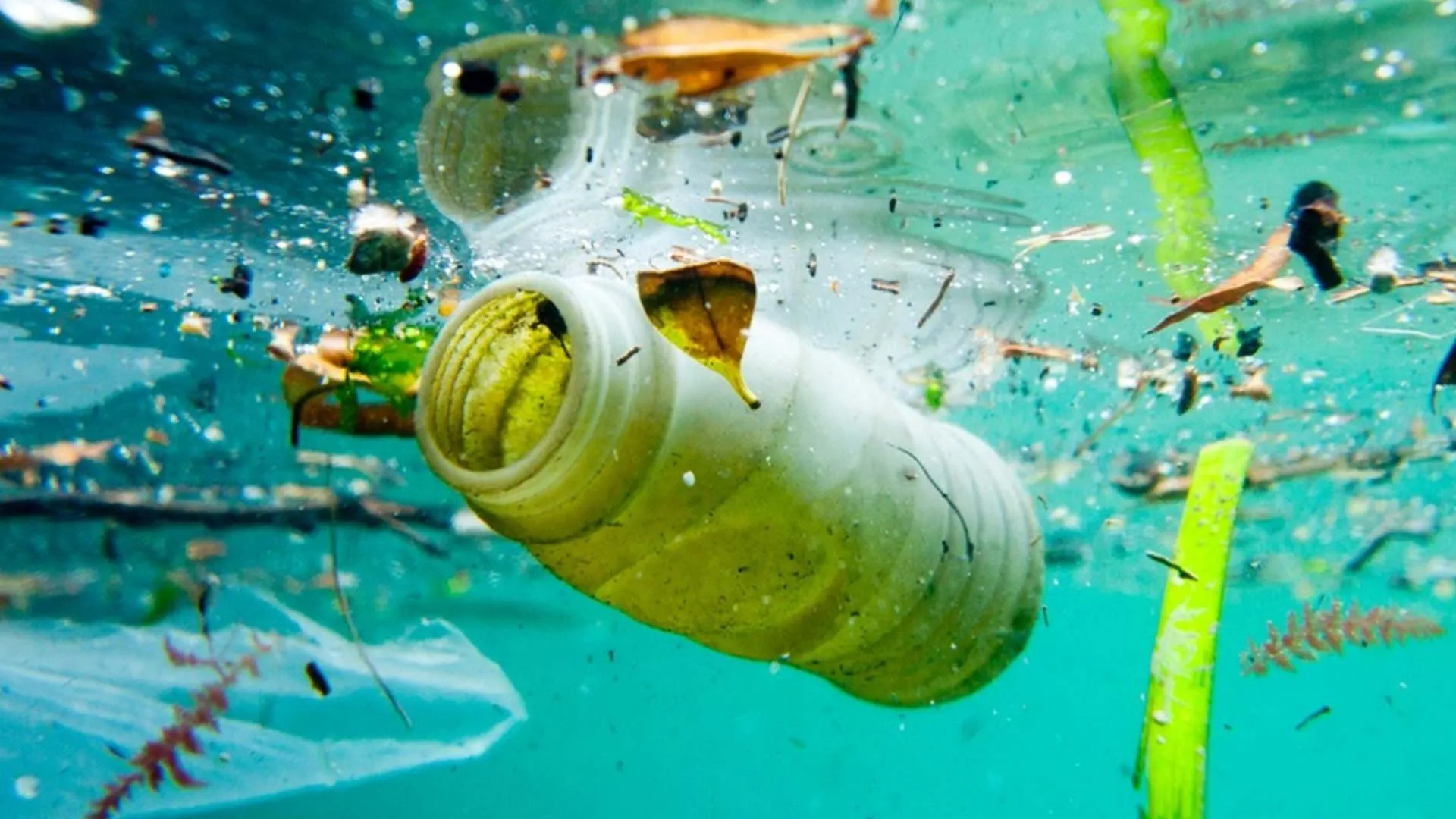 Teljes erővel folyik a környezetszennyezés. De mikor lesz ennek már vége?